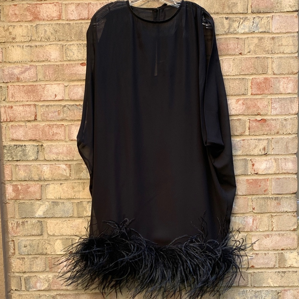 Elegant Black Feather Hem Dress